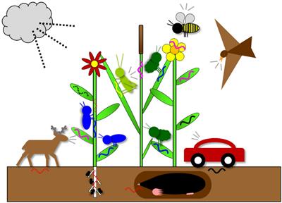 Is It Time for Ecotremology?